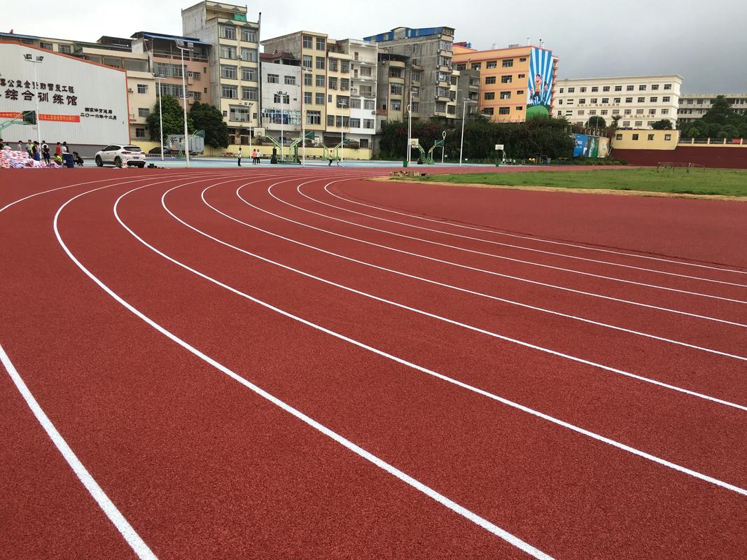 迪庆藏族自治州橡胶跑道塑胶跑道材料 - 厂家